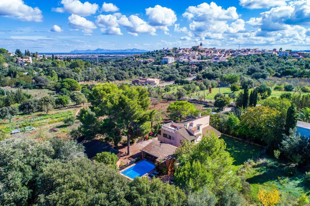 Lantställe Ideal Mallorca - Madona - Es Puig